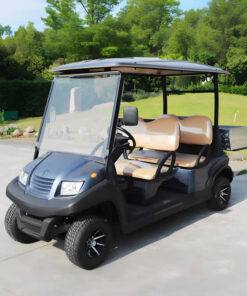 4 Seater Electric Golf Cart with Cargo Box - EG204AH