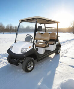 Chinese 4 Seater Golf Carts Wholesale - EG204AK
