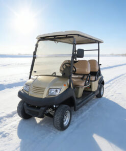 Four 4 Person Passenger Seater Electric Front Facing Golf Carts for Sale- EG204AK