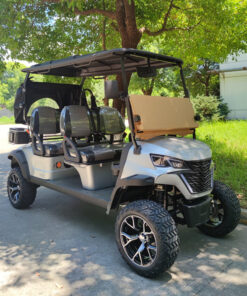 Custom Rear of 4 Seater Electric Golf Cart Manufacturer - EG204DK